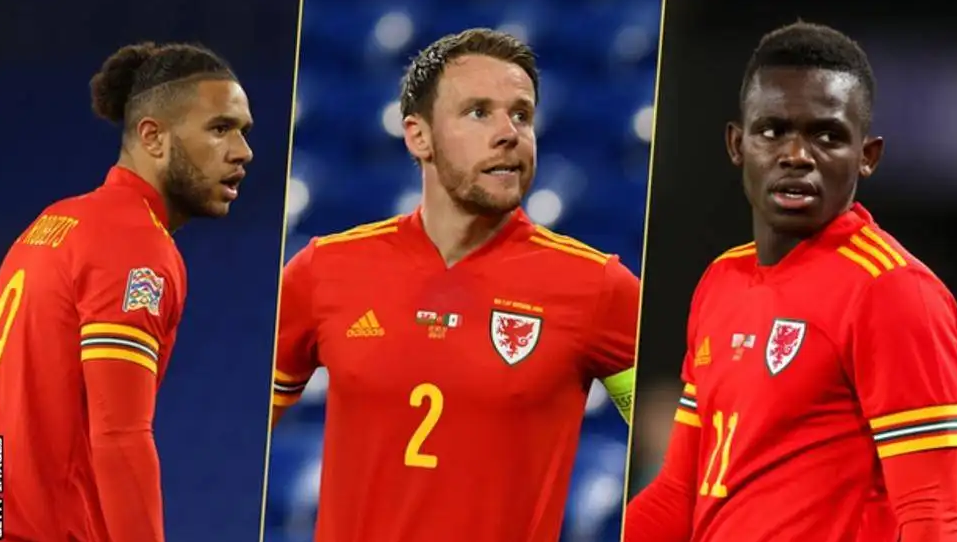 威尔士2022世界杯,威尔士队,出线,小组,球迷